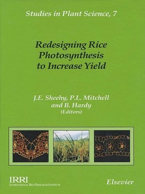 cover image of Redesigning Rice Photosynthesis to Increase Yield